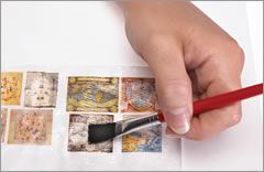 A coat of Omni-Gel is being brushed onto the image.